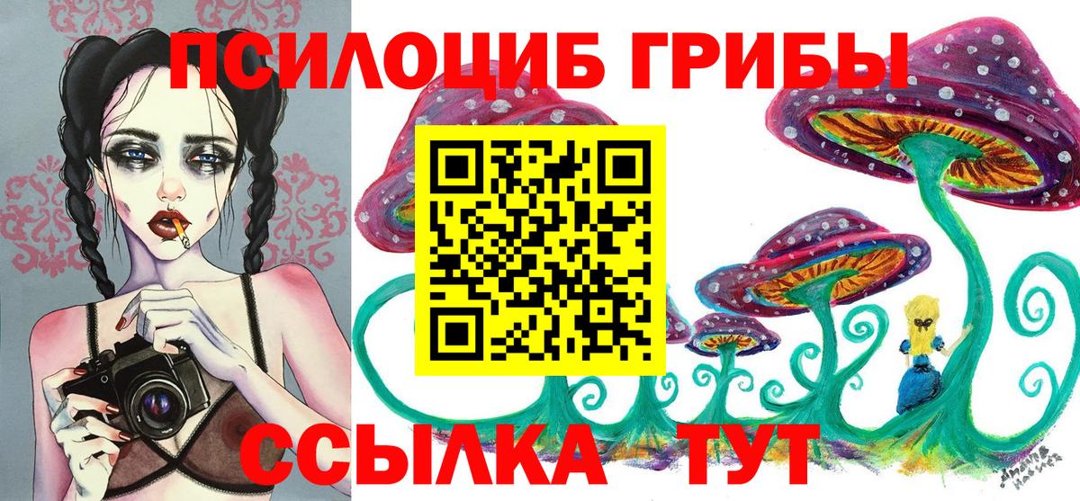 Галлюциногенные грибы мицелий Новошахтинск