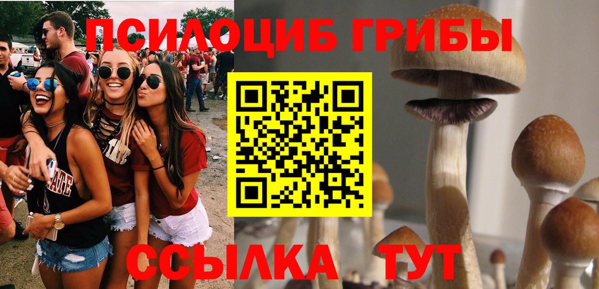 Псилоцибиновые грибы мицелий  Вход с VPN  Новошахтинск  Псилоцибиновые грибы Magic Shrooms 